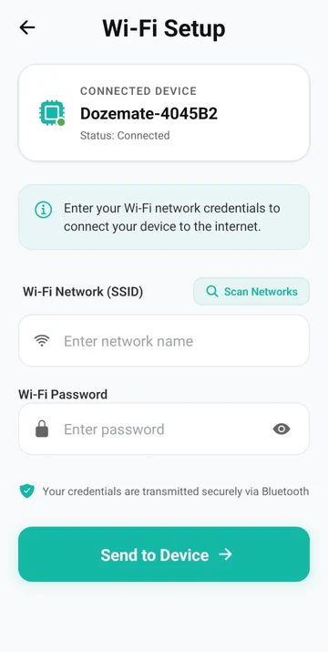 Wi-Fi Setup with the device connected, ready for the network details