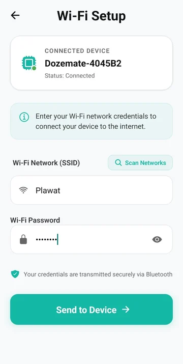 Wi-Fi Setup with the network and password filled in, ready to send to the device